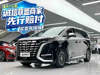 Denza Denza 2025 купить из Китая, цена 6 662 000 ₽ — Suifenhe Auto