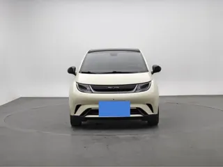 BYD Dolphin 2023 купить из Китая, цена 1 387 000 ₽ — Suifenhe Auto