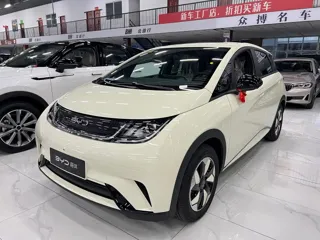 BYD Dolphin 2026 купить из Китая, цена 1 837 000 ₽ — Suifenhe Auto