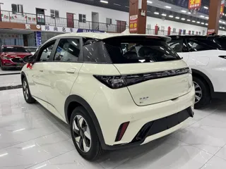 BYD Dolphin 2026 купить из Китая, цена 1 837 000 ₽ — Suifenhe Auto