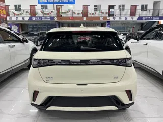 BYD Dolphin 2026 купить из Китая, цена 1 837 000 ₽ — Suifenhe Auto