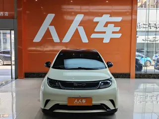 BYD Dolphin 2023 купить из Китая, цена 1 458 000 ₽ — Suifenhe Auto