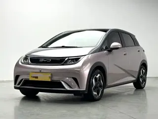 BYD Dolphin 2021 купить из Китая, цена 1 294 000 ₽ — Suifenhe Auto