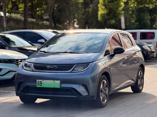 BYD Dolphin 2024 купить из Китая, цена 1 601 000 ₽ — Suifenhe Auto