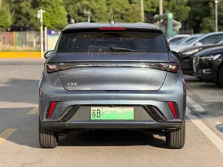 BYD Dolphin 2024 купить из Китая, цена 1 601 000 ₽ — Suifenhe Auto