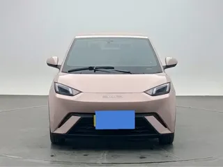 BYD Seagull 2023 купить из Китая, цена 1 278 000 ₽ — Suifenhe Auto