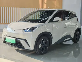 BYD Seagull 2024 купить из Китая, цена 1 292 000 ₽ — Suifenhe Auto