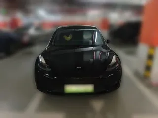 Tesla Model 3 2021 купить из Китая, цена 4 275 000 ₽ — Suifenhe Auto