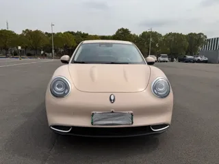 ORA Good Cat 2024 купить из Китая, цена 1 358 000 ₽ — Suifenhe Auto