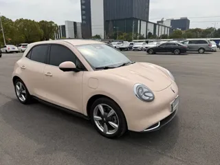 ORA Good Cat 2024 купить из Китая, цена 1 358 000 ₽ — Suifenhe Auto