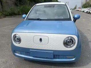 ORA Black Cat 2020 купить из Китая, цена 913 000 ₽ — Suifenhe Auto