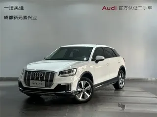 Audi Q2L e-tron 2020