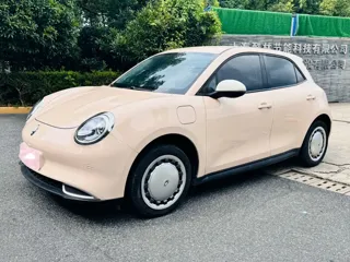 ORA Good Cat 2024 купить из Китая, цена 1 350 000 ₽ — Suifenhe Auto