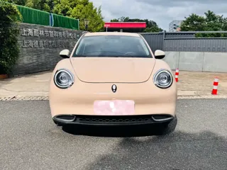 ORA Good Cat 2024 купить из Китая, цена 1 350 000 ₽ — Suifenhe Auto