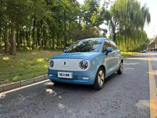 ORA Black Cat 2019 купить из Китая, цена 840 000 ₽ — Suifenhe Auto