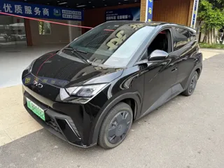 BYD Seagull 2024 купить из Китая, цена 1 205 000 ₽ — Suifenhe Auto