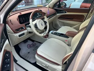 ORA Good Cat 2021 купить из Китая, цена 1 240 000 ₽ — Suifenhe Auto