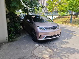 BYD Dolphin 2020 купить из Китая, цена 1 116 000 ₽ — Suifenhe Auto