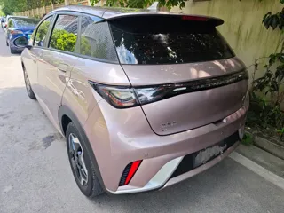 BYD Dolphin 2020 купить из Китая, цена 1 116 000 ₽ — Suifenhe Auto