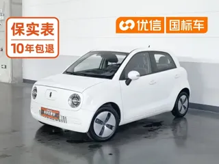 ORA Black Cat 2020 купить из Китая, цена 836 000 ₽ — Suifenhe Auto