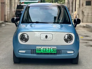 ORA Black Cat 2020 купить из Китая, цена 816 000 ₽ — Suifenhe Auto