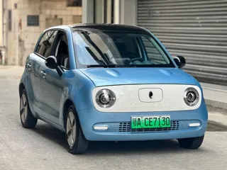 ORA Black Cat 2020 купить из Китая, цена 816 000 ₽ — Suifenhe Auto