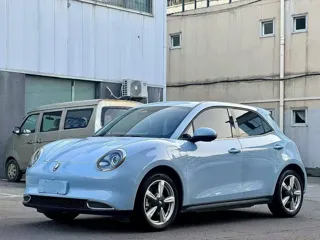 ORA Good Cat 2021 купить из Китая, цена 1 279 000 ₽ — Suifenhe Auto