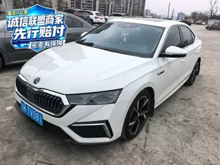 Skoda Octavia 2023 купить из Китая, цена 1 623 000 ₽ — Suifenhe Auto