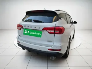 Haval M6 2020 купить из Китая, цена 1 075 000 ₽ — Suifenhe Auto