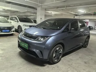 BYD Dolphin 2024 купить из Китая, цена 1 599 000 ₽ — Suifenhe Auto