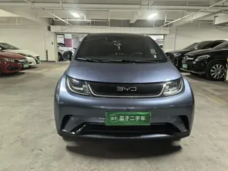 BYD Dolphin 2024 купить из Китая, цена 1 599 000 ₽ — Suifenhe Auto