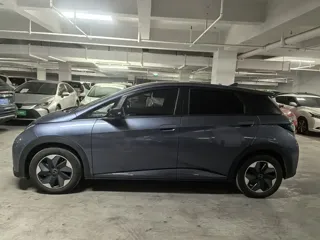 BYD Dolphin 2024 купить из Китая, цена 1 599 000 ₽ — Suifenhe Auto