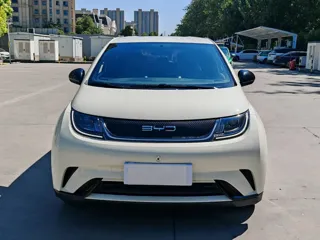 BYD Dolphin 2024 купить из Китая, цена 1 456 000 ₽ — Suifenhe Auto