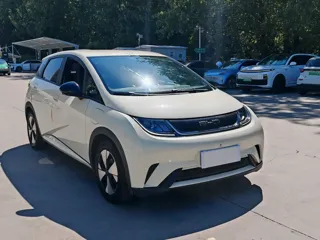 BYD Dolphin 2024 купить из Китая, цена 1 456 000 ₽ — Suifenhe Auto