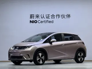 BYD Dolphin 2023 купить из Китая, цена 1 512 000 ₽ — Suifenhe Auto