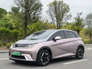 BYD Dolphin 2022 купить из Китая, цена 1 421 000 ₽ — Suifenhe Auto