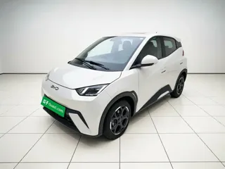 BYD Seagull 2025 купить из Китая, цена 1 385 000 ₽ — Suifenhe Auto