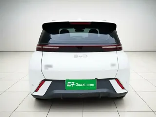 BYD Seagull 2025 купить из Китая, цена 1 385 000 ₽ — Suifenhe Auto