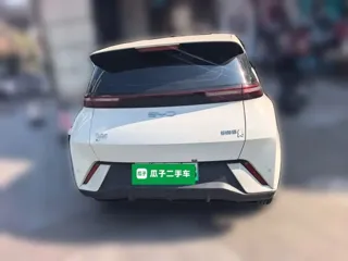 BYD Seagull 2024 купить из Китая, цена 1 303 000 ₽ — Suifenhe Auto