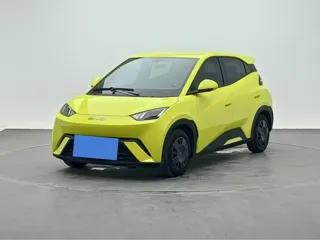 BYD Seagull 2024 купить из Китая, цена 1 258 000 ₽ — Suifenhe Auto