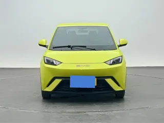 BYD Seagull 2024 купить из Китая, цена 1 258 000 ₽ — Suifenhe Auto