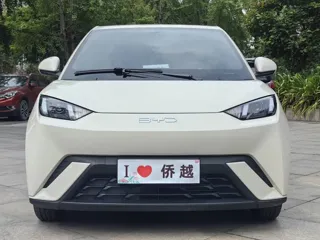 BYD Seagull 2025 купить из Китая, цена 1 347 000 ₽ — Suifenhe Auto