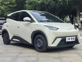 BYD Seagull 2025 купить из Китая, цена 1 347 000 ₽ — Suifenhe Auto