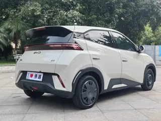 BYD Seagull 2025 купить из Китая, цена 1 347 000 ₽ — Suifenhe Auto