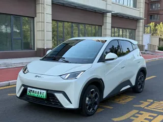 BYD Seagull 2024 купить из Китая, цена 1 441 000 ₽ — Suifenhe Auto