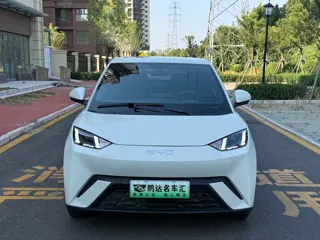 BYD Seagull 2024 купить из Китая, цена 1 441 000 ₽ — Suifenhe Auto
