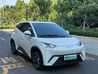 BYD Seagull 2024 купить из Китая, цена 1 441 000 ₽ — Suifenhe Auto