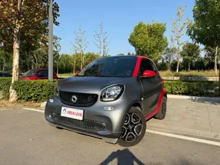 smart fortwo 2019 купить из Китая, цена 1 474 000 ₽ — Suifenhe Auto