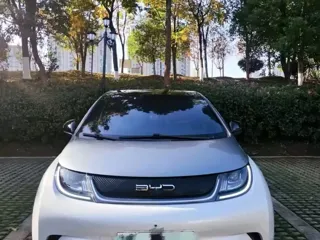 BYD Dolphin 2021 купить из Китая, цена 1 127 000 ₽ — Suifenhe Auto