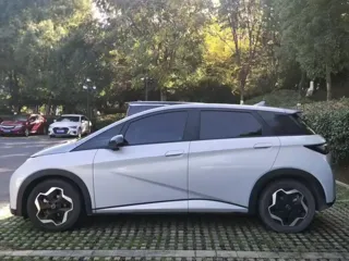 BYD Dolphin 2021 купить из Китая, цена 1 127 000 ₽ — Suifenhe Auto